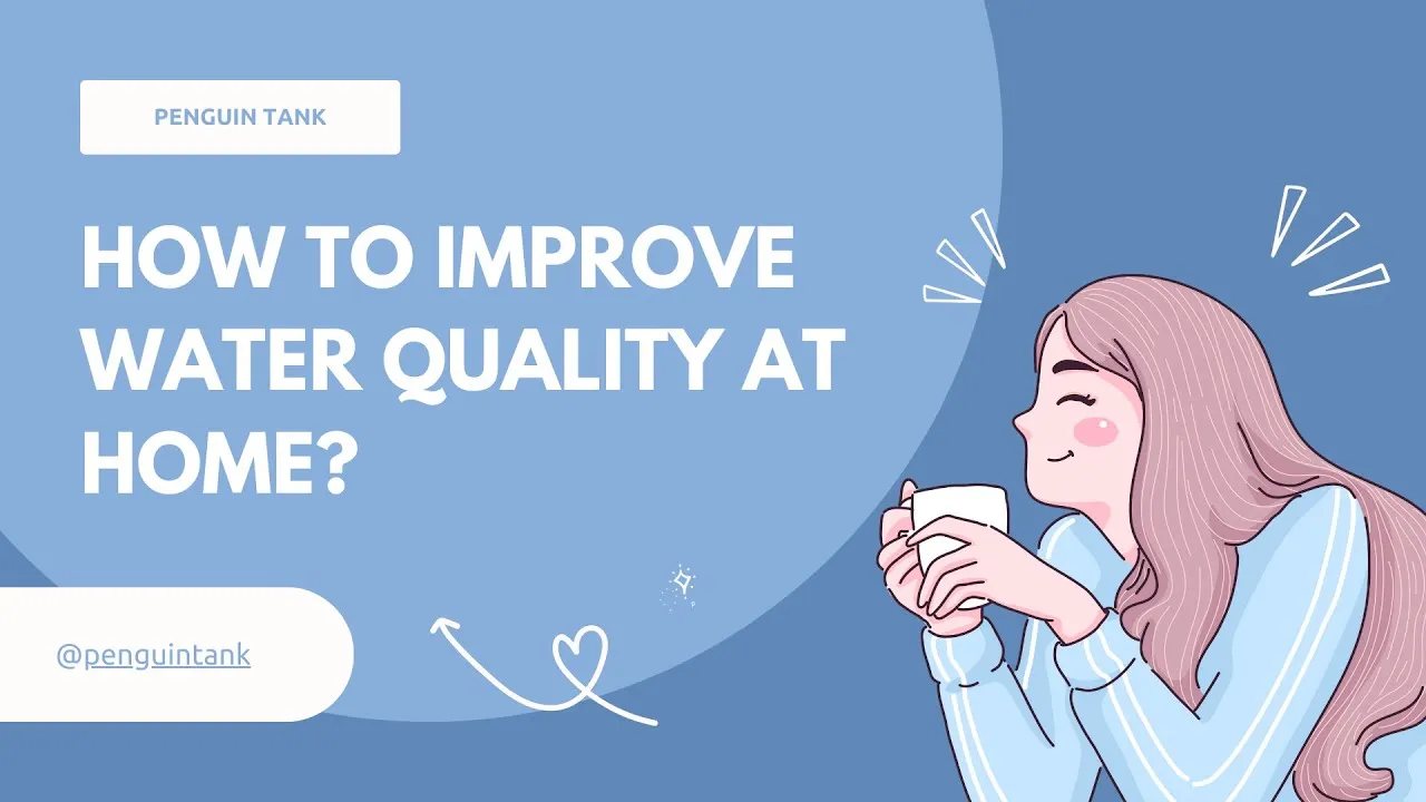 Simple and Cheap Ways to Improve Water Quality in Your Community