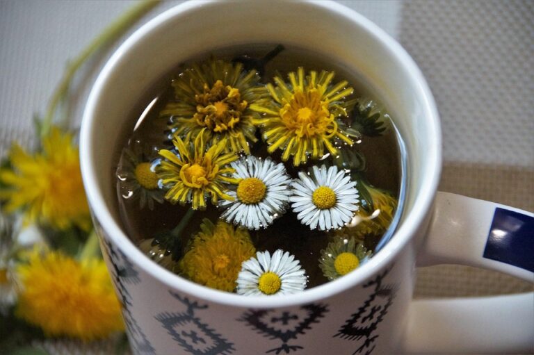 Revitalize Your Liver with These Herbal Detox Formulas