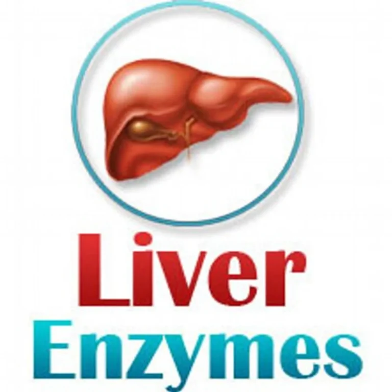 Boost Your Liver Health: Understanding the Role of Enzymes