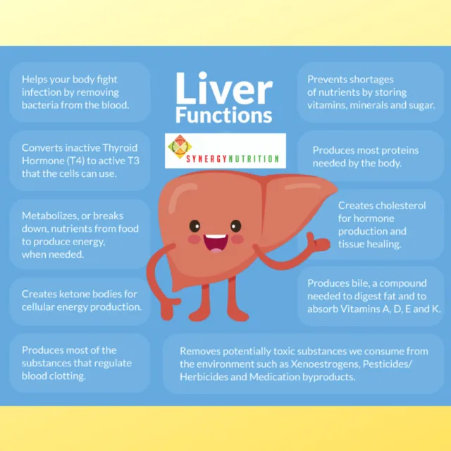 The Importance of Supporting Your Liver Function The Importance of Supporting Your Liver Function