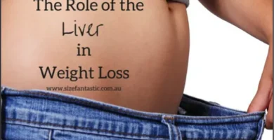The Liver’s Role in Fat Burning: How to Optimize Your Liver for Weight Loss The Liver’s Role in Fat Burning: How to Optimize Your Liver for Weight Loss