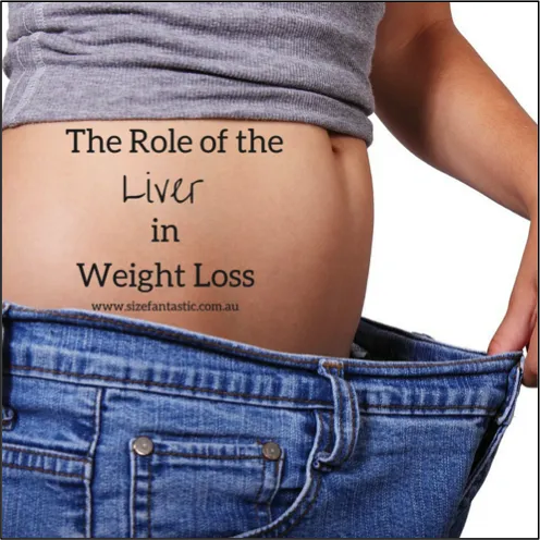 The Liver’s Role in Fat Burning: How to Optimize Your Liver for Weight Loss The Liver’s Role in Fat Burning: How to Optimize Your Liver for Weight Loss