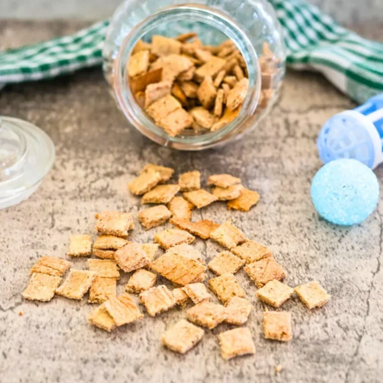Comfortable Selfmade Cat Treats Recipe