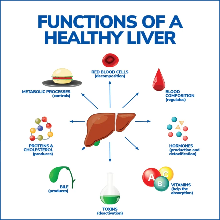 The Link Between Liver Health and Metabolism: Strategies for a Healthy Body