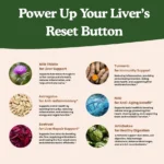 The Power of Antioxidants: How They Can Support Your Liver