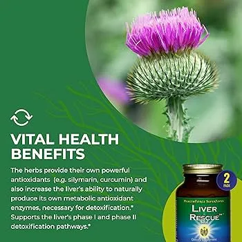 The Power Of Plants: Natural Remedies For Liver Detoxification