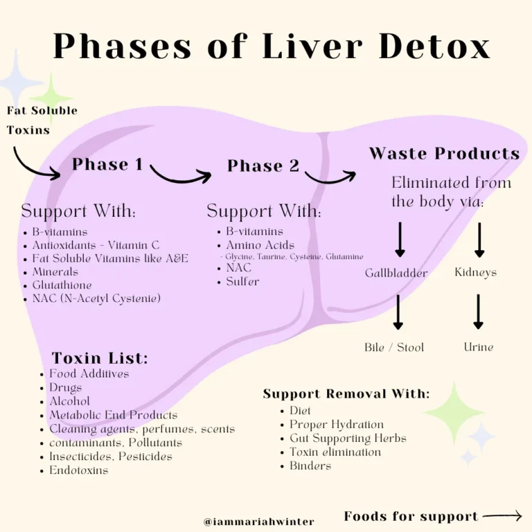 The Science Behind Bioavailable Liver Detox and Its Impact on Your Health