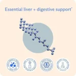 Unlock Your Body’s Fat-Burning Potential Through Liver Support