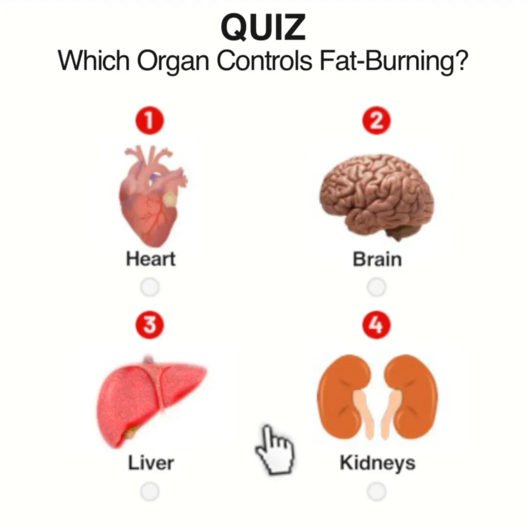 Unlocking The Secret To Fat Loss: Why A Healthy Liver Is Key