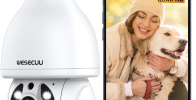 WESECUU Light Bulb Security Camera, 2.4G/5G WiFi Security Cameras Wireless Outdoor,Bulb Camera for Home Security, 2-Way Talk, Human Detection, Color Night Vision, Compatible with Alexa (One Pack)