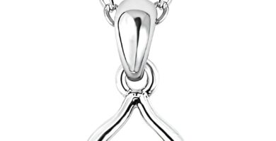 TFT Necklaces Jewelry Moissanite Pendant Sterling Silver Necklace For Women Gourd Pendant Necklace