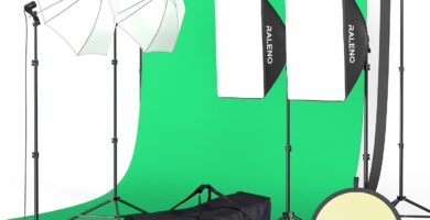RALENO Photography Lighting Kit, 8.5 x 10 ft Backdrop Stands with Green Screen, Softbox and Umbrella with 5500 K, 97CRI, LED Bulbs, 3 Color Backdrops for Photo Studio Equipment, Portrait Product Shoot