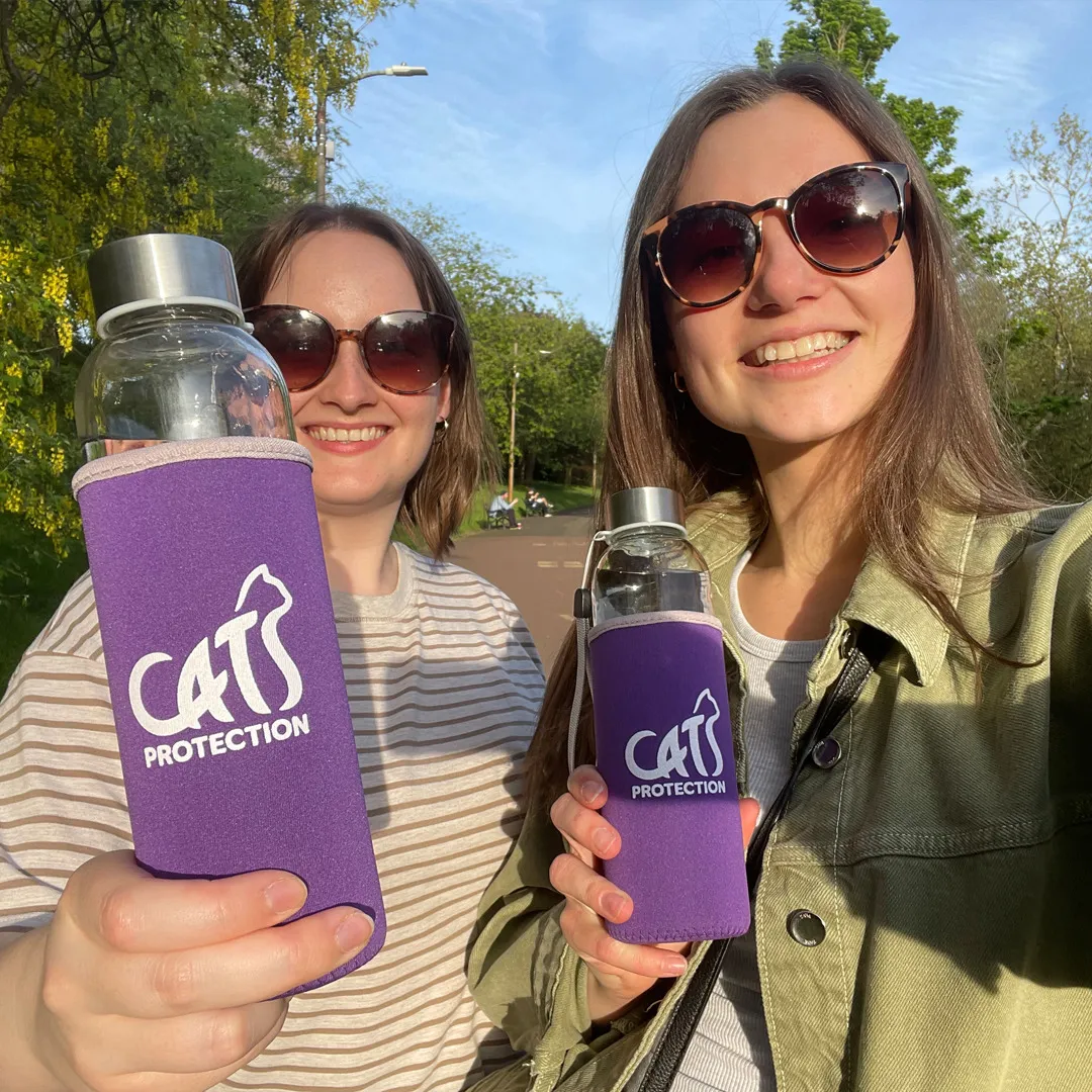 Cats roam American College of Beirut in Lebanon : NPR