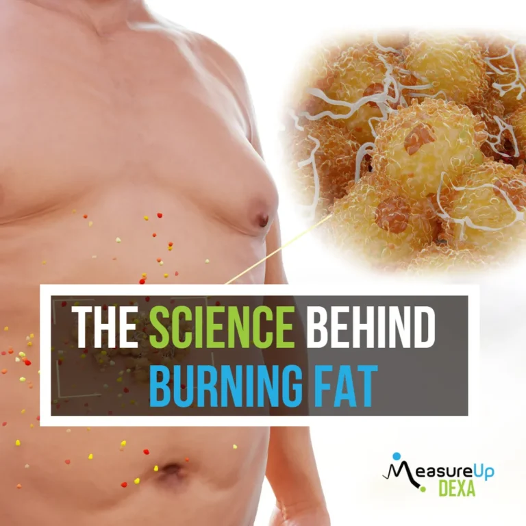 Discover the Science Behind How Fat-Burning Supplements Work