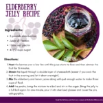 Easy Elderberry Wellness Photographs Recipe