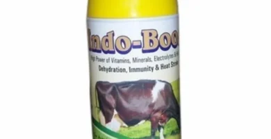 Boost Liver Function with These Powerful Supplements