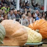 Pumpkins’ move from historical meals staple to highly spiced fall obsession spans 1000’s of years