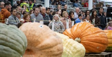 Pumpkins’ move from historical meals staple to highly spiced fall obsession spans 1000’s of years