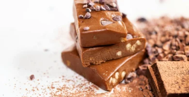 Selfmade Chocolate Chip Protein Bars