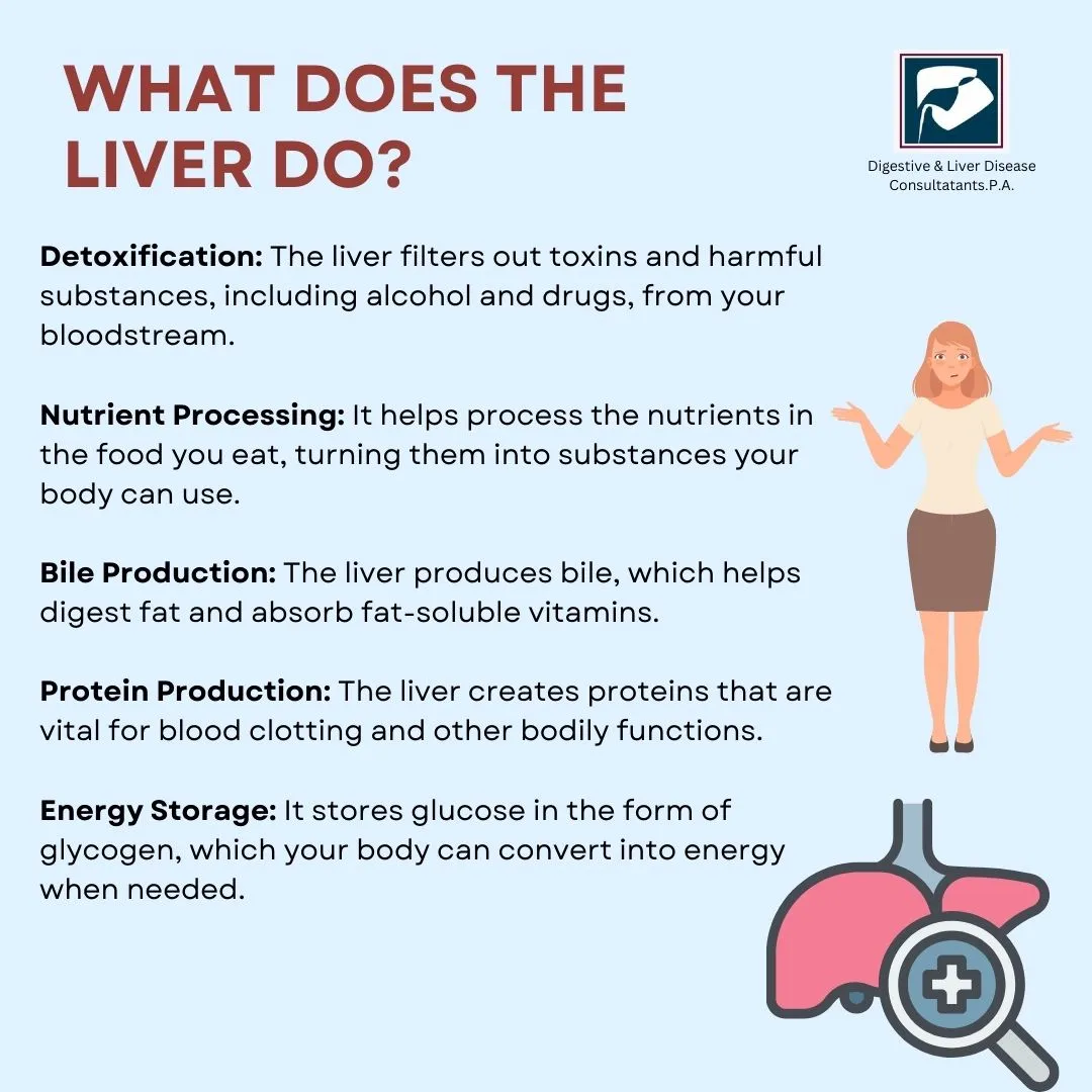 Understanding the Importance of Liver Health