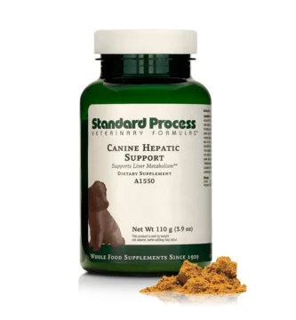 Understanding the Role of Liver Support Supplements