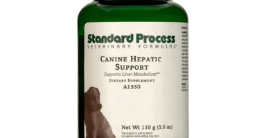 Understanding the Role of Liver Support Supplements