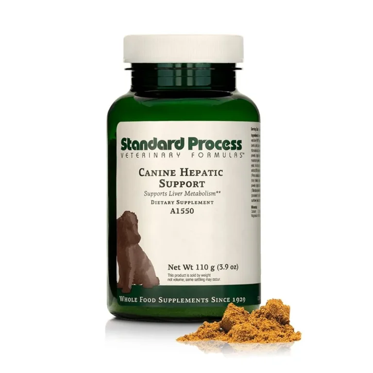 Understanding the Role of Liver Support Supplements