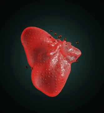 Unlocking the Benefits of Fat Oxidation for Liver Wellness