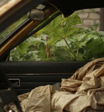 15 Films and Displays to Attend to If You Like ‘Pluribus’