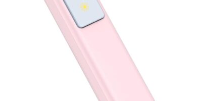 Norwii N26 Wireless Presentation Clicker, Presentation Remote, PowerPoint Clicker with Pointer for PowerPoint Presentations, Power Point Clicker Wireless Presenter Remote – Pink