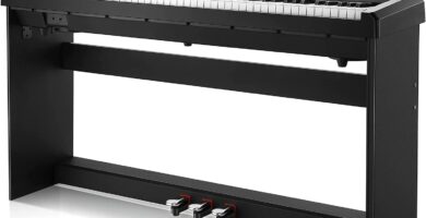 Donner DEP-20 Beginner Digital Piano 88 Key Full Size Weighted Keyboard, Portable Electric Piano with Furniture Stand, 3-Pedal Unit