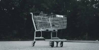 Beware Those Dark Friday Buying groceries Scams