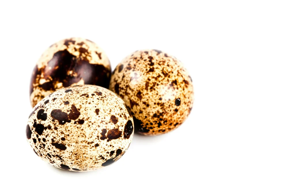 Chai Spice Protein Balls With Adaptogens