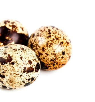 Chai Spice Protein Balls With Adaptogens