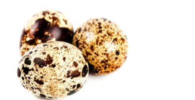 Chai Spice Protein Balls With Adaptogens Chai Spice Protein Balls With Adaptogens