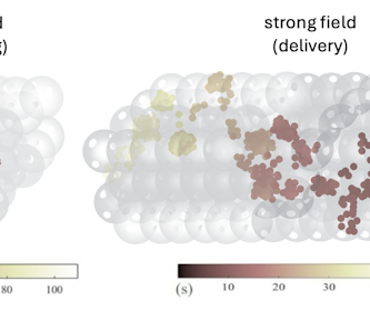 Electrical gardens prompt nanoparticles via a liquid-filled maze – this brandnew form may just fortify drug supply and purification techniques