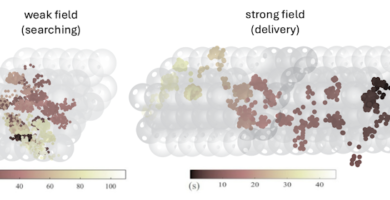 Electrical gardens prompt nanoparticles via a liquid-filled maze – this brandnew form may just fortify drug supply and purification techniques