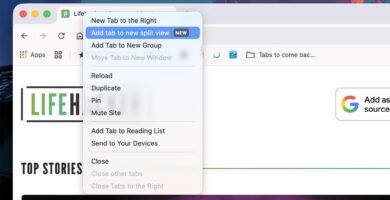 Chrome’s Untouched ‘Crack View’ Is Now My Favourite Strategy to Usefulness the Web