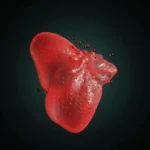 Revitalize Your Body with a Liver Detox and Shed Pounds Faster