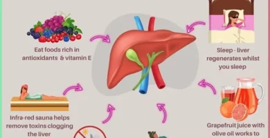 Revitalize Your Body with a Liver Detox and Shed Pounds Faster