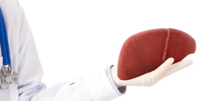 Top 10 Liver Detox Aids for Men and Women to Kickstart Your Health Journey