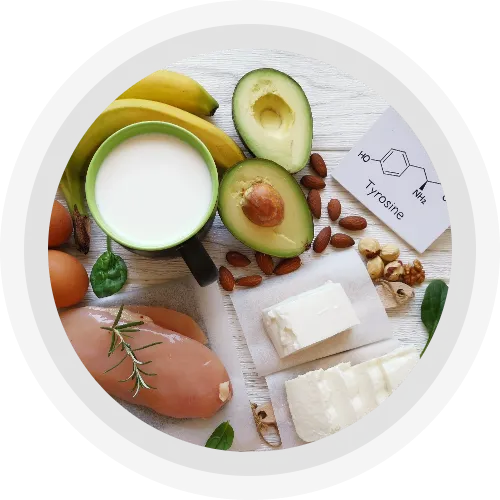 11 Lesser Known Indian Leafy Vegetables: HealthifyMe 11 Lesser Known Indian Leafy Vegetables: HealthifyMe