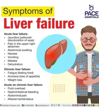 5 Warning Signs Your Liver Could Be Slowing Down Your Metabolism