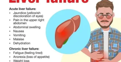 5 Warning Signs Your Liver Could Be Slowing Down Your Metabolism