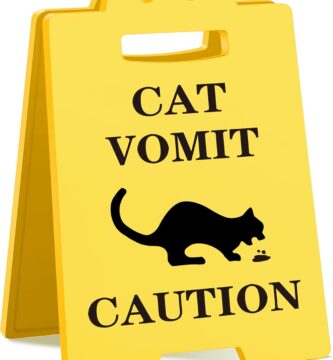 Funny Cat Vomit Caution Sign, Humorous Desk Sign for Cat Lovers, Perfect Cat Mom or Cat Dad Christmas Gag Gifts for Pet Owners, Best Friends, Cat Enthusiasts, Cat Themed Home Office Decor