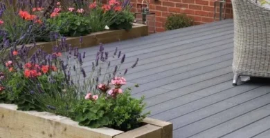 Everything You Should Know: HealthifyMe