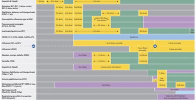 RFK Jr. wants to scrutinize the vaccine schedule – but its safety record is already decades long RFK Jr. wants to scrutinize the vaccine schedule – but its safety record is already decades long