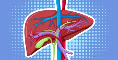 5 Metabolism-Boosting Habits to Improve Liver Health