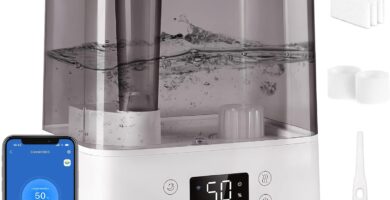 LEVOIT Humidifiers for Bedroom Large Room Home, (6L) Cool Mist Top Fill Essential Oil Diffuser for Baby & Plants, Smart App & Voice Control, Rapid Humidification & Auto Mode – Quiet Sleep Mode, Gray