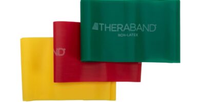 THERABAND Resistance Bands Set, Beginner Kit, Yellow, Red, Green, Non-Latex Elastic Bands for Exercise & Physical Therapy, Strength Training Bands for Upper & Lower Body Fitness